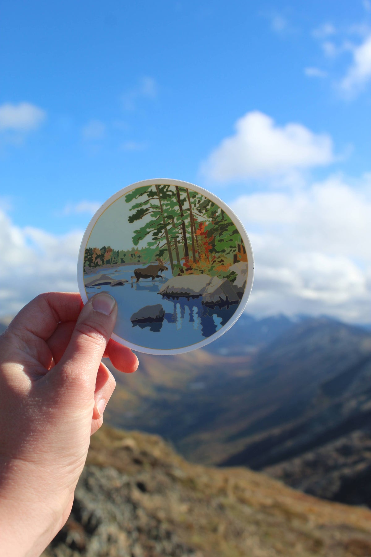 Colorful Moose Meadow Vinyl Sticker