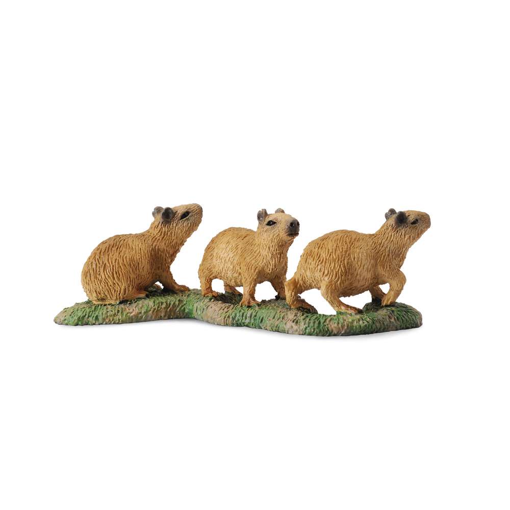 Capybara Babies