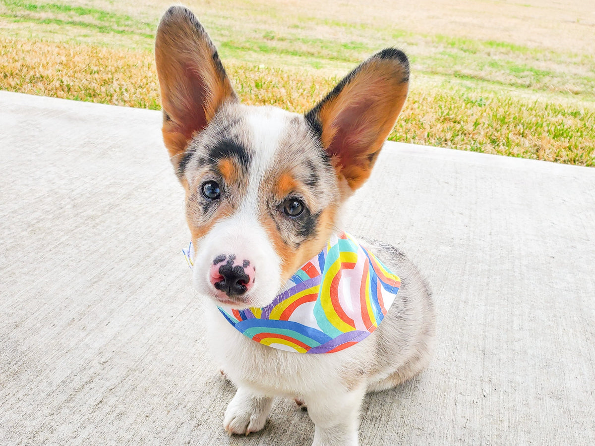 "Lucky Dood" Dog Bandana