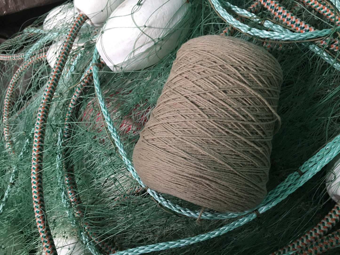 Frangipani 5-ply Guernsey Yarn CORNISH FUDGE