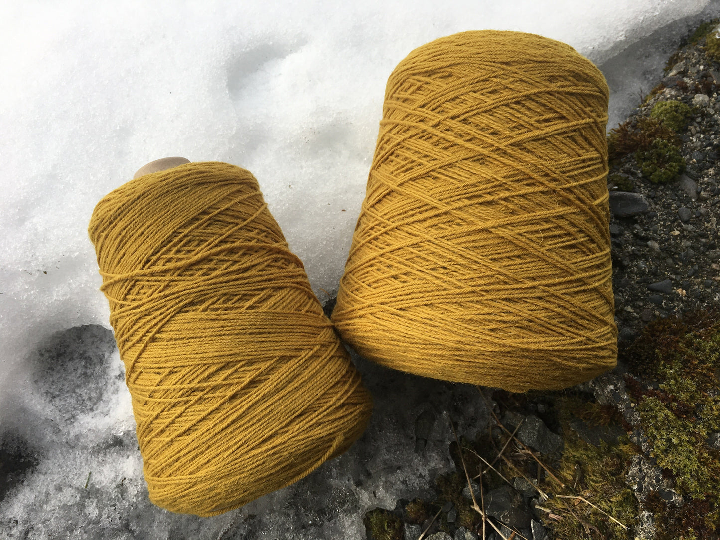 Frangipani 5-ply Guernsey Yarn CORNISH GOLD