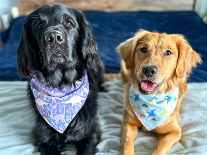 "Lucky Dood" Dog Bandana