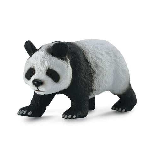 Giant Panda
