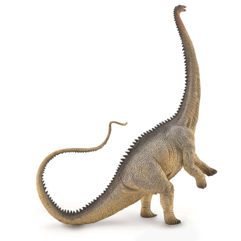 Diplodocus - Grey