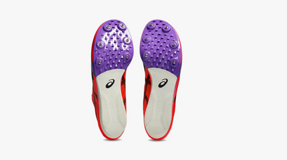 Asics Unisex Metaspeed LD LE 2 Distance Spike (1093A255.600)