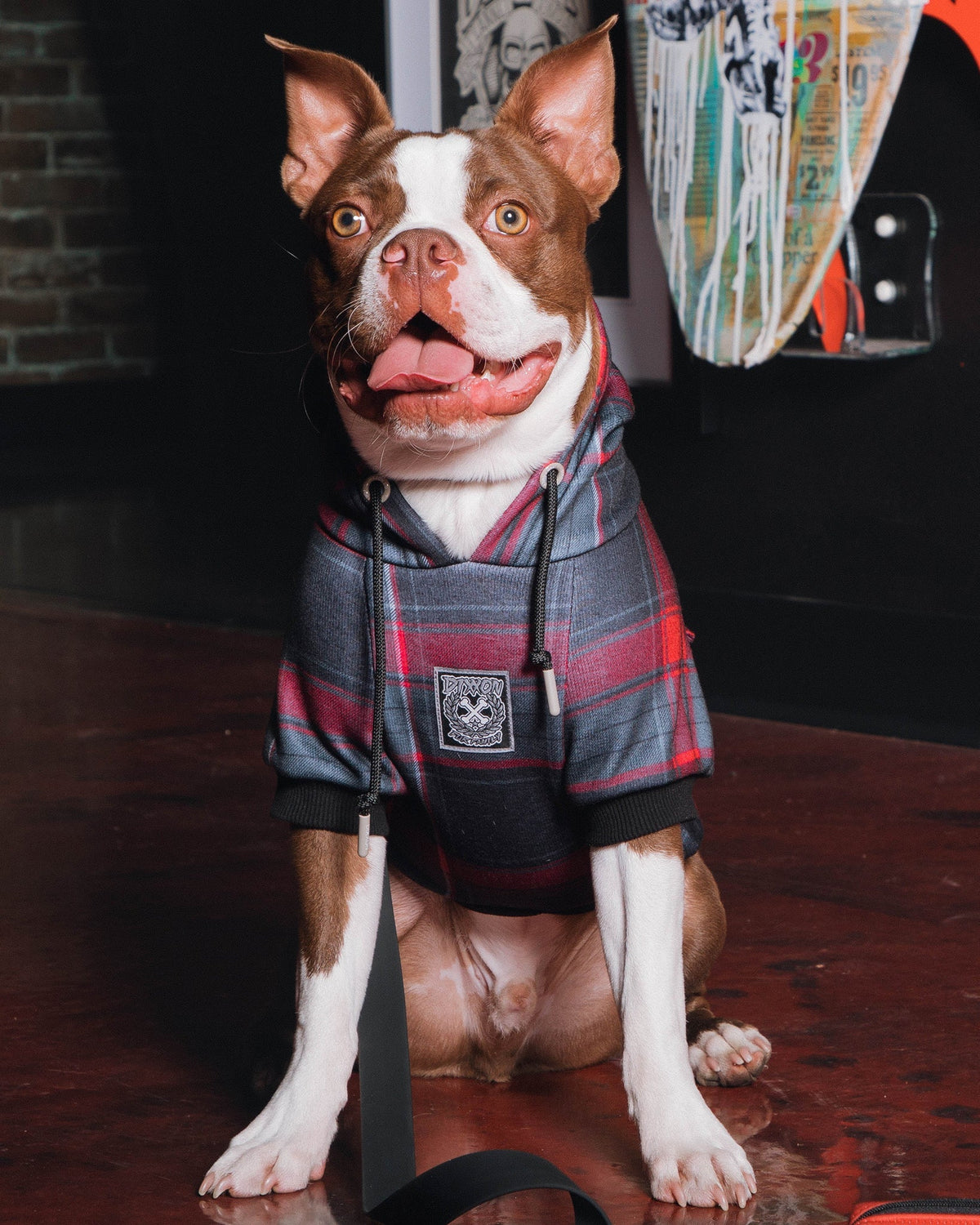Dog Hoodie - Royal Flush