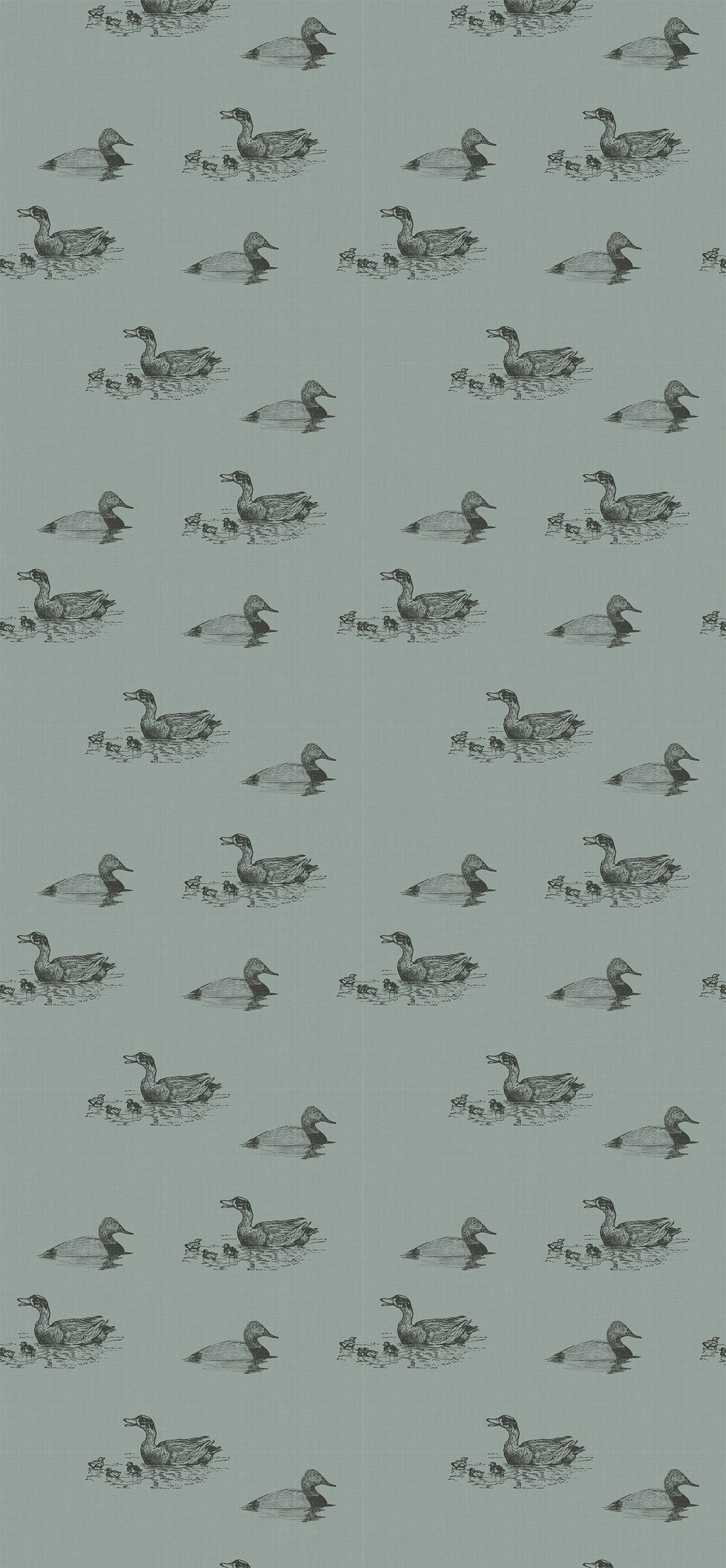 Duckpond Wallpaper