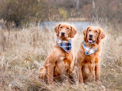 "I Love Mom" Dog Bandana